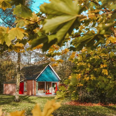 BUNGALOW 8 personnes - IJssel Plus (4+4)