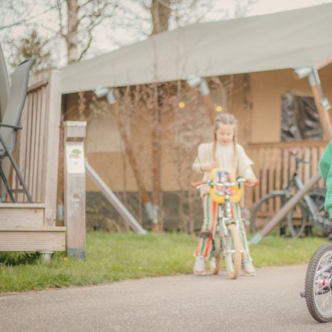 Vakantiepark Sallandshoeve - Raalte - Image N°3