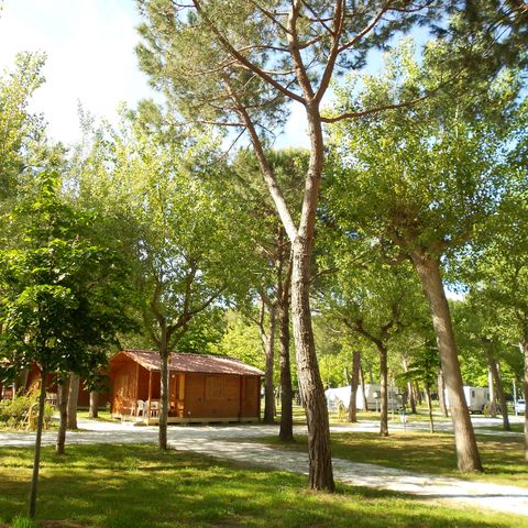 CHALET 4 personnes - Standard