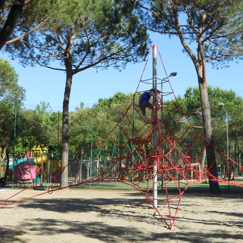 Viareggio Family Collection - Lucques - Image N°6
