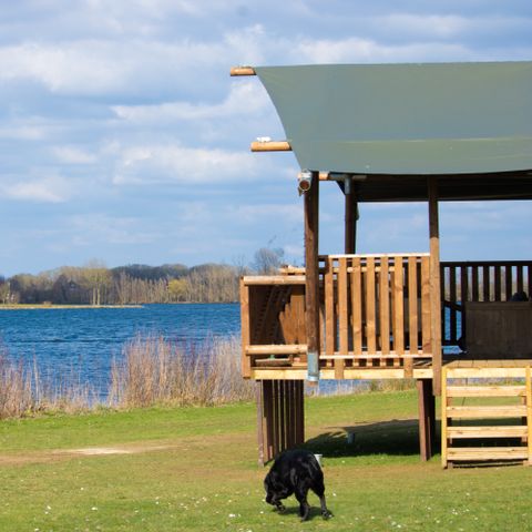 Recreatiepark Riverside Outdoor & Events     - Camping West-Maas-en-Waal - Image N°4