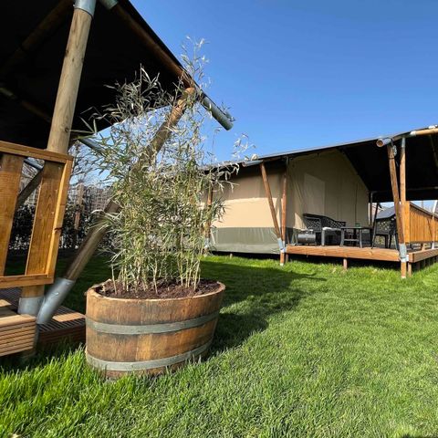 Tente en toile et en bois 6 personnes