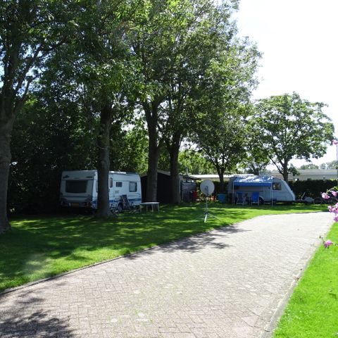 Vodatent Camping de Hof van Eeden - Camping Leiden - Image N°6