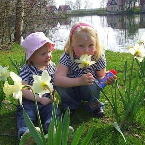 Vakantiepark het Timmerholt  - Midden-Drenthe - Image N°3