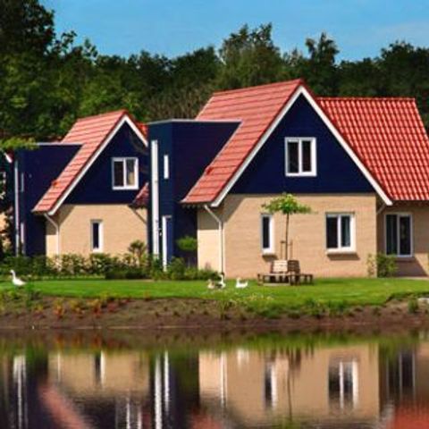 Vakantiepark het Timmerholt  - Midden-Drenthe - Image N°5