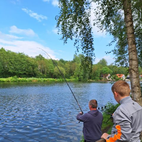 Vakantiepark het Timmerholt  - Midden-Drenthe - Image N°4