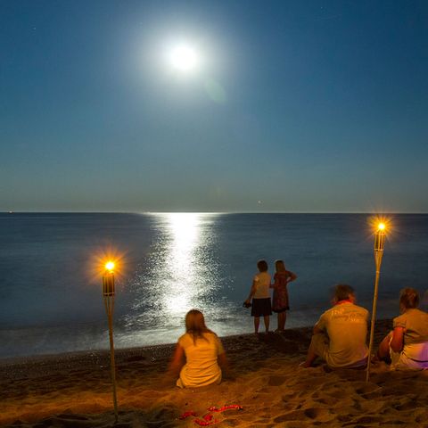 Camping El Pinar  - Gérone - Image N°3