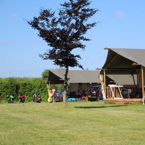 TENTE TOILE ET BOIS 4 personnes - y compris les installations sanitaires