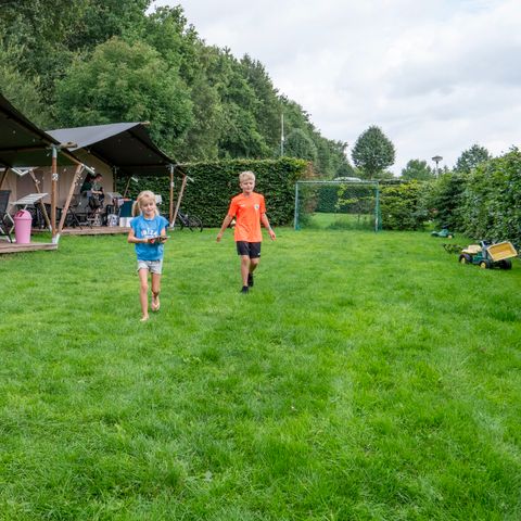 Tente en toile et en bois 6 personnes - y compris les toilettes