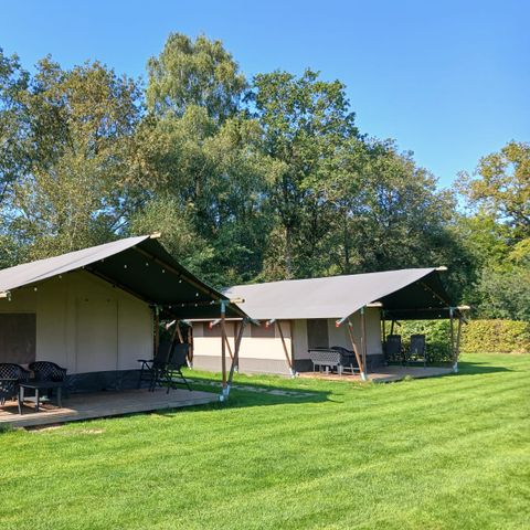 TENTE TOILE ET BOIS 6 personnes - Tente safari