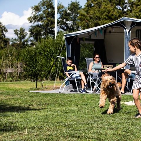 Emplacement - Emplacement confort chien admis