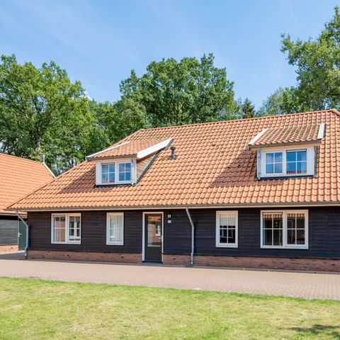 MAISON 14 personnes - Twente Hoeve