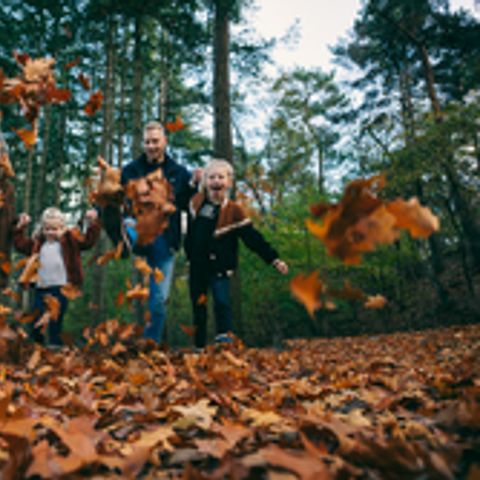Roompot Park Eksel - Camping Liège - Image N°4