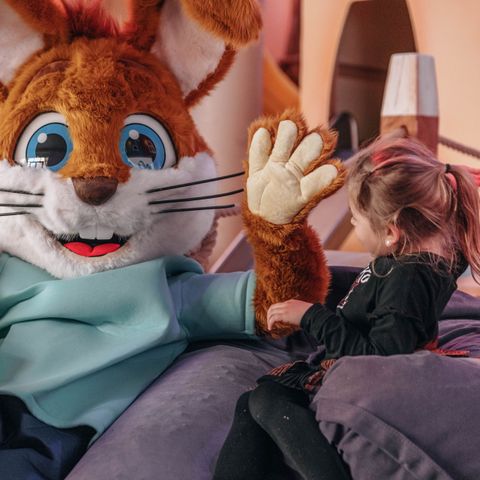 Landal Marinapark Volendam - Edam-Volendam - Image N°6