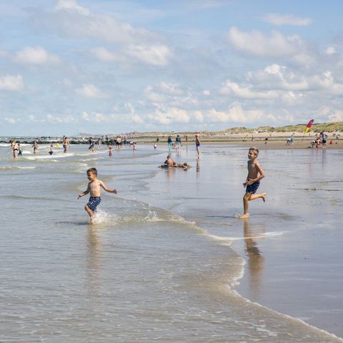 Landal Breeduyn Village - Flandre Occidentale - Image N°3