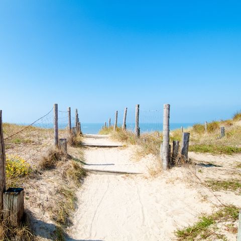 Landal Vakantiepark Callassande - Schagen - Image N°2