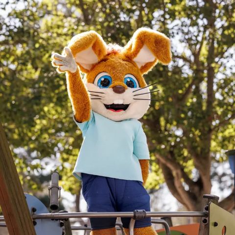 Roompot Hof Domburg - Veere - Image N°2