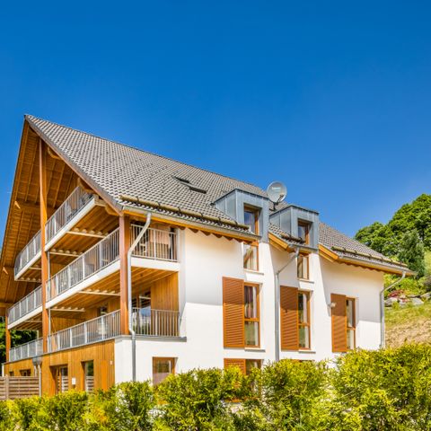 Roompot Bergresort Winterberg - Camping Rhénanie du Nord-Westphalie - Image N°5