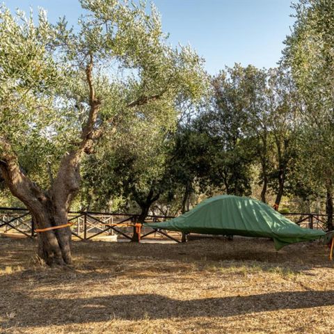 Emplacement - Emplacement Terrasse