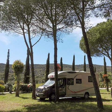 Emplacement - Emplacement Pinède