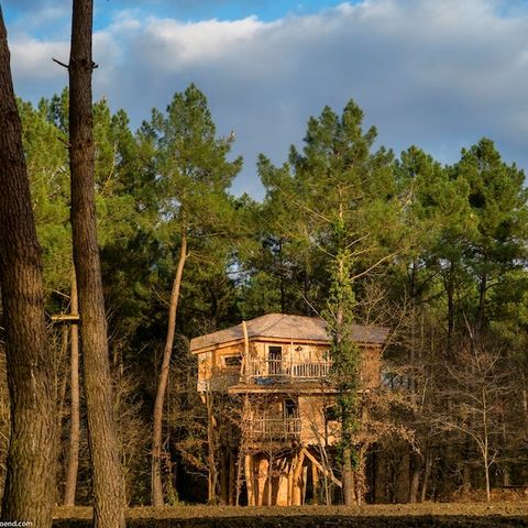 HÉBERGEMENT INSOLITE 4 personnes - Maison de l'arbre BD400
