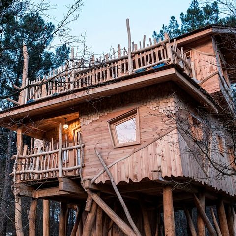 Hébergement 4 personnes - Maison de l'arbre BD400