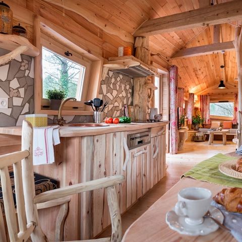 Hébergement 4 personnes - Maison de l'arbre BD400