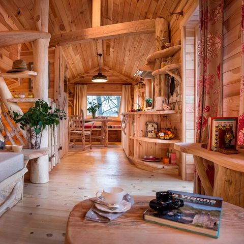 Hébergement 4 personnes - Maison de l'arbre BD400