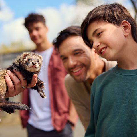 Center Parcs Le Bois aux Daims - Vienne - Image N°5