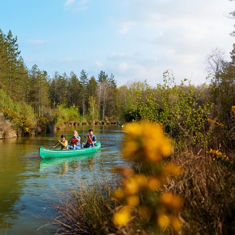 Center Parcs Le Bois aux Daims - Vienne - Image N°3