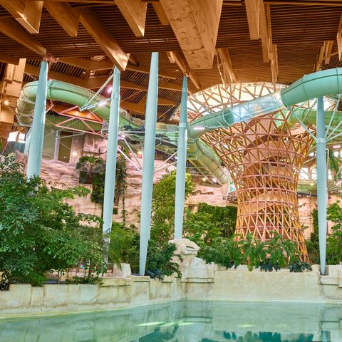 Center Parcs Villages Nature Paris - Seine-et-Marne - Image N°6