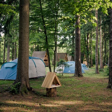 TENTE 4 personnes - Tente avec lit et matelas