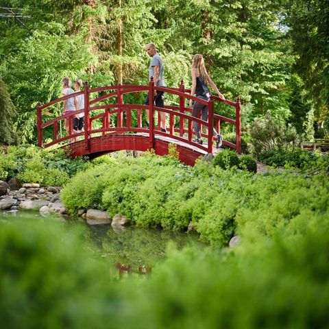 Forest Camping Mozirje - Slovenie - Image N°2