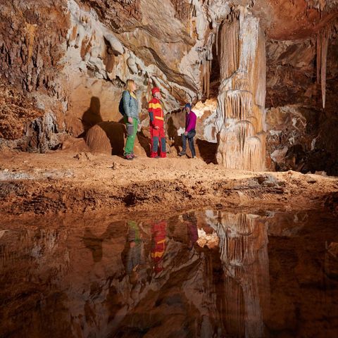 Forest Camping Mozirje - Slovenie - Image N°5