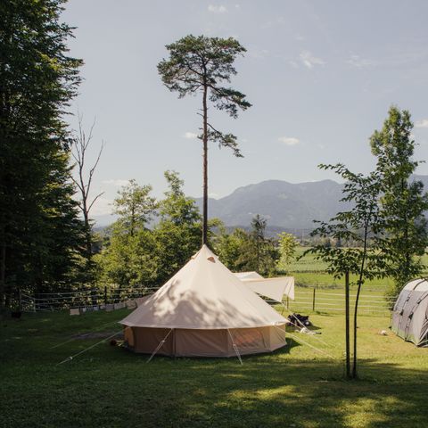 Forest Camping Mozirje - Slovenie - Image N°5