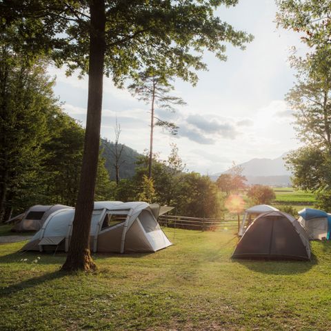 Forest Camping Mozirje - Slovenie - Image N°4