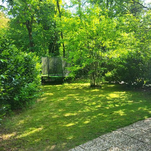 BUNGALOW 6 personnes - Tourterelle