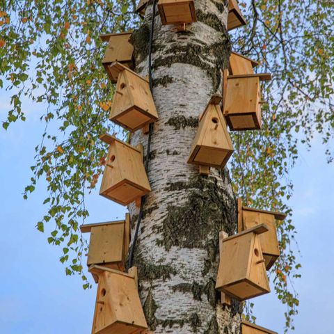 CHALET 2 personnes - Boutique suite