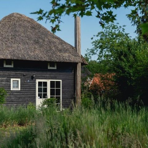 BUNGALOW 5 personnes - Reggehooiberg avec sauna et bain à remous