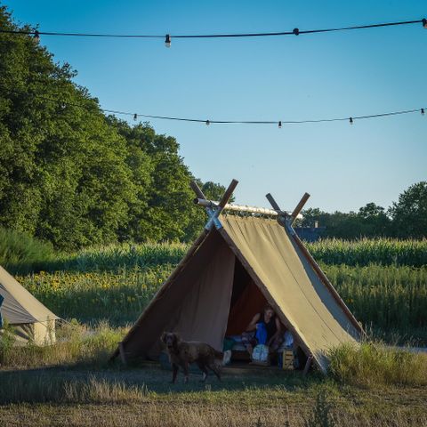 MAISON 32 personnes - 6x tente de luxe