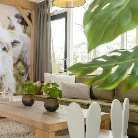 Bungalow 6 personnes - Pour enfants à la ferme avec sauna et bain à remous