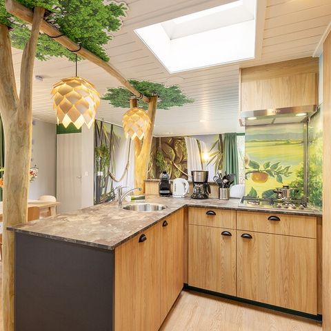 HÉBERGEMENT INSOLITE 4 personnes - Merveilles de la nature HH2491