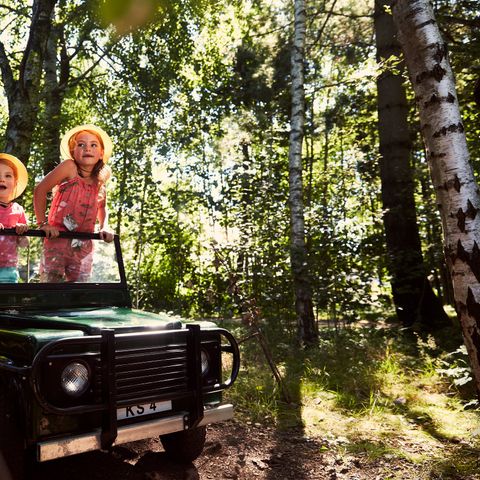 Center Parcs De Huttenheugte - Coevorden - Image N°3