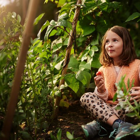 Center Parcs Het Meerdal - Horst an der Maas - Image N°6