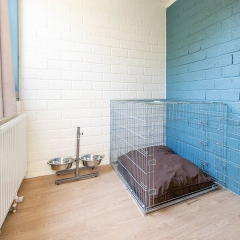 BUNGALOW 4 personnes - Premium Chiens MD2428