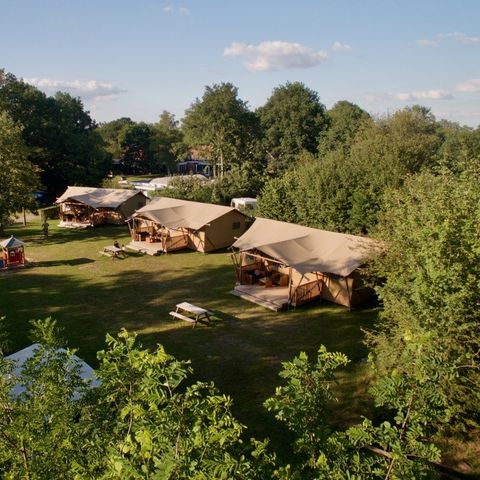 Recreatiepark Kaps - Camping Tubbergen - Image N°2