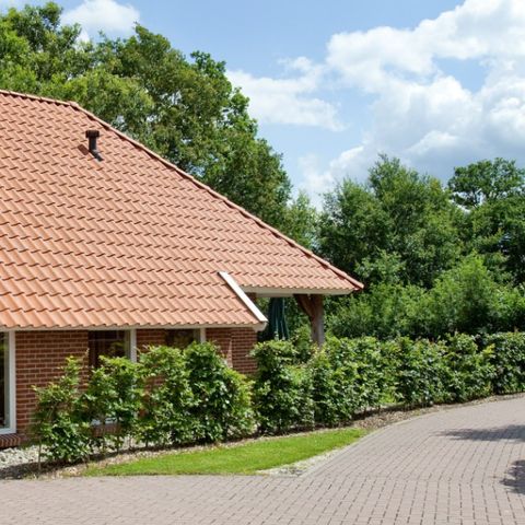 Recreatiepark Kaps - Camping Tubbergen - Image N°5