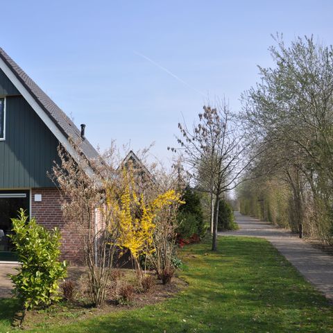 BUNGALOW 6 personnes - VWL5