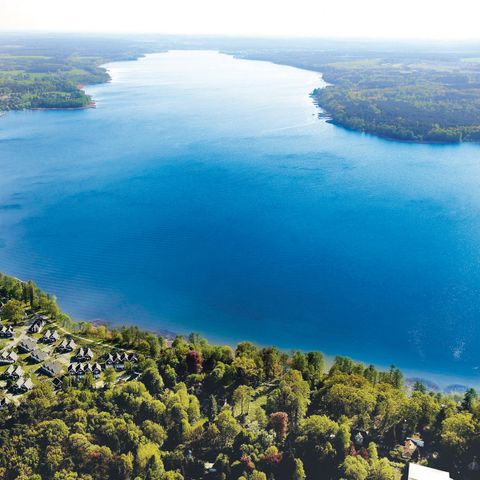 Schlosspark Bad Saarow - Brandebourg - Image N°2