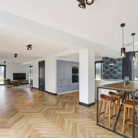 MAISON 12 personnes - Villa Vechtrijk